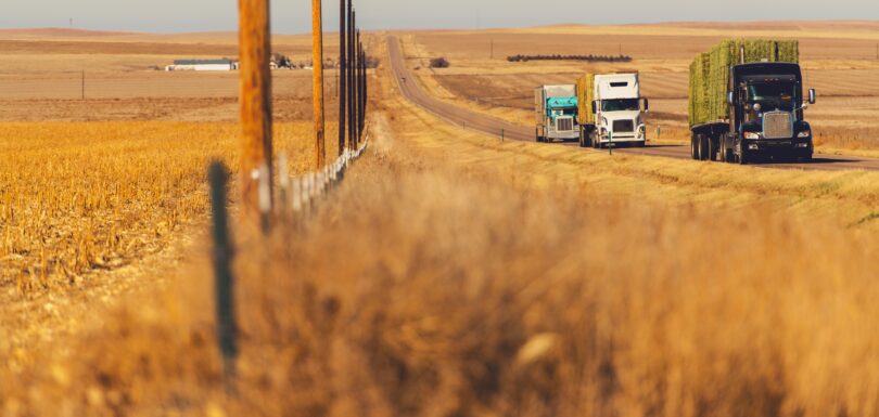 Best Trucking Consultants in Dallas-Fort Worth, TX (2025 Guide)