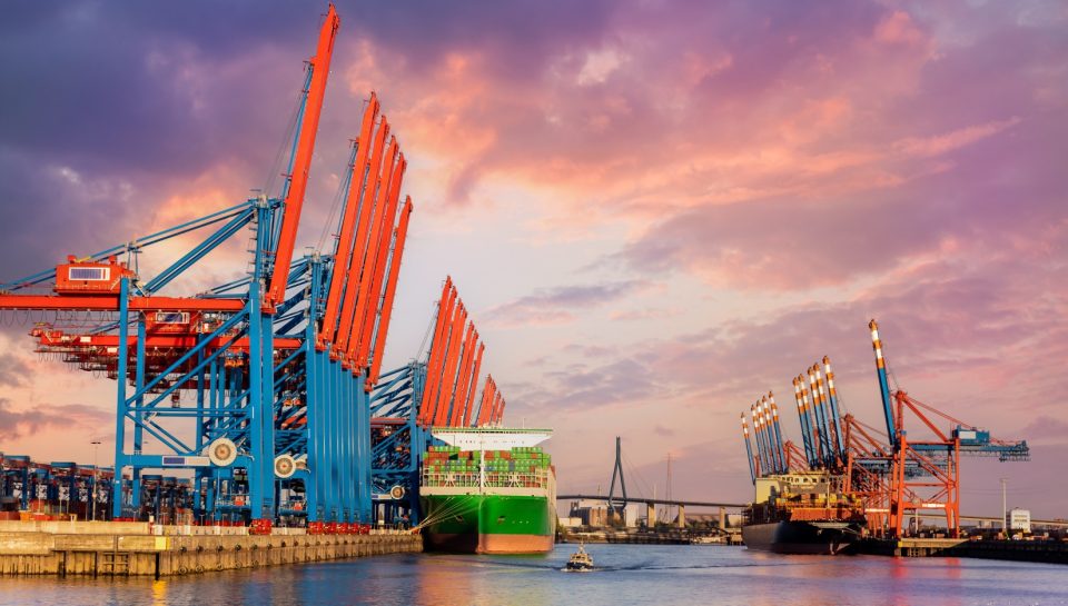 Best Houston Port Consultants