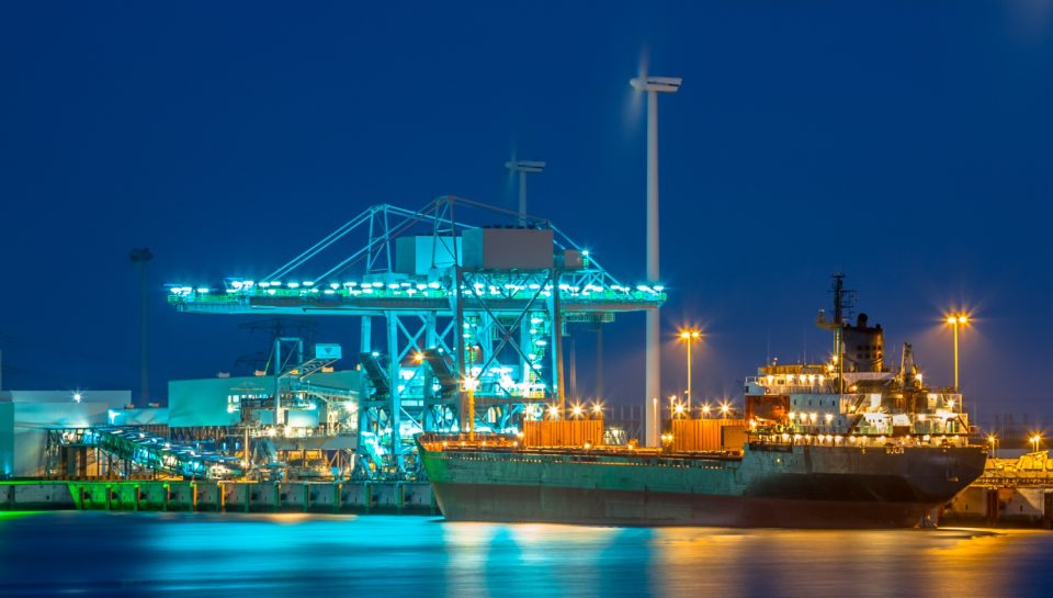 Best Savannah Port Consultants